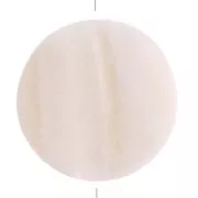 Perles plates en nacre - forme palet 25 mm x2