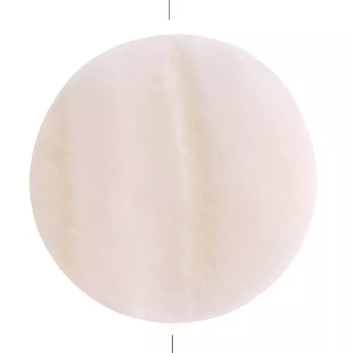 Perles plates en nacre - forme palet 25 mm x2