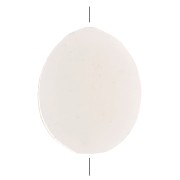 Perles plates en nacre - forme ovale 11x9 mm x10|raw }}