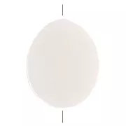 Perles plates en nacre - forme ovale 11x9 mm x10