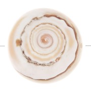 Perle en coquillage 17 mm - Naturel x1|raw }}