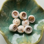 Perle en coquillage 17 mm - Naturel x1