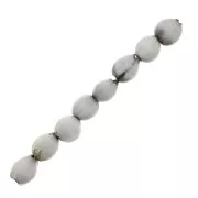 Graines larme de job 10 mm Naturel x 10