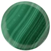 Cabochon plat rond - palet - 10 mm en pierre gemme - Malachite x1