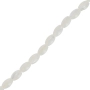 Perles olive en nacre 5.5x3 mm x39cm