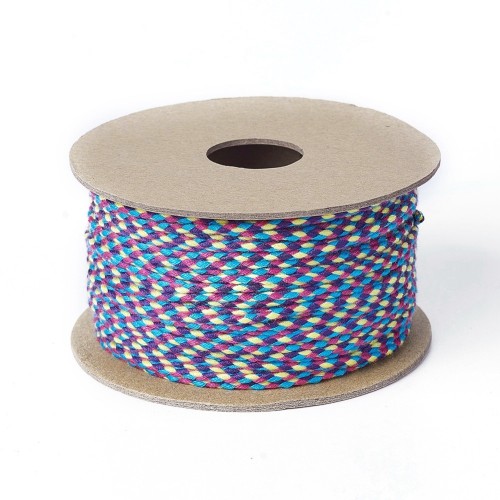 Cordon en coton tressé 2 mm - Prune - Bleu - Violet - Jaune clair x1m