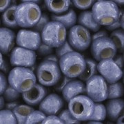 Rocaille Toho 11/0 TO11RPF567F - PF Metallic Polaris Mat x8g