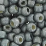Rocaille Toho 11/0 TO11RPF565F - PF Galvanized Frosted Blue Slate x8g