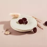 Bouton à queue pour la couture en métal - Atelier Brunette Dotty 15 mm - Rust x1