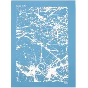 Silk Screen Moiko pour Pâte polymère 74x105 mm - Motif Marbré 18.13 x1