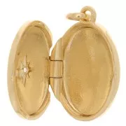 Pendentif porte photo avec oxyde de zirconium 20x15 mm - Plaqué Or 3 microns x1