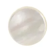 Cabochon plat rond - palet - 10 mm en nacre x1