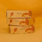 Kit perles Miyuki By Perles & Co - Assortiment Miyuki Delica 11/0 Royal Mix