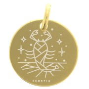 Breloque ronde 13.5 mm - signe astrologique Scorpion - Argent 925 Doré x1|raw }}