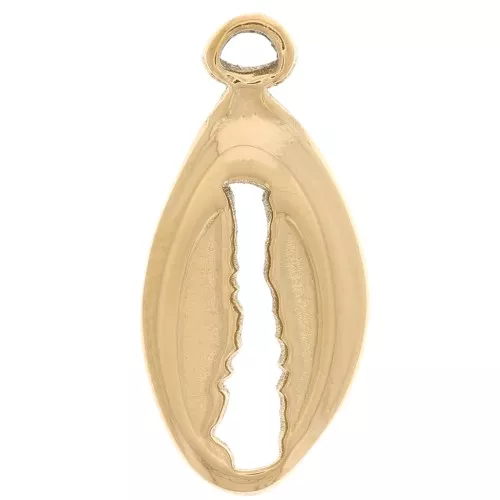 Breloque coquillage cauri 17x8 mm - Acier inoxydable 304L Doré x1