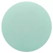 Cabochon rond en résine opaque effet mat 14 mm - Vert d'eau x1