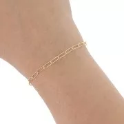 Chaîne maille Rectangle 2.9 mm - Gold filled (or laminé) x50cm