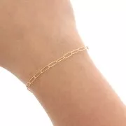 Chaîne maille Rectangle limée 2.9 mm - Gold filled (or laminé)  x50cm