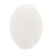 Cabochon ovale en résine opaque 14x10 mm - Ivoire x1|raw }}