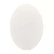 Cabochon ovale en résine opaque 14x10 mm - Ivoire x1