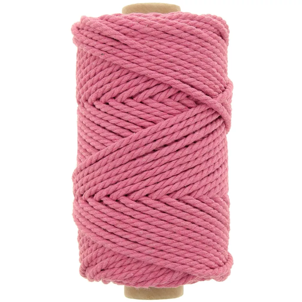 2 Rouleau x 2 Couleur Cordon en Coton,3mm Corde en macramé Naturelle avec Boîte de Rangement Exquise,100m/Rouleau Ficelle Corde Macramé pour Tentures Murales,Décorations D'intérieur,Tricot Emballage