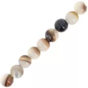 Perles rondes en nacre 3 mm x25