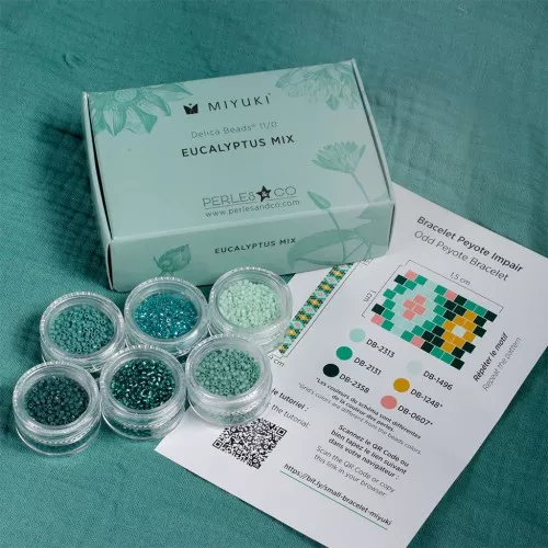 Kit perles Miyuki By Perles & Co - Assortiment Miyuki Delica 11/0 Eucalyptus Mix