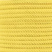 Cordon en polyester tressé et fil métallisé 3 mm - Jaune - Doré x1m