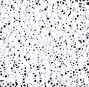 Rocaille Miyuki 11/0 402F - Opaque White Mat x8g