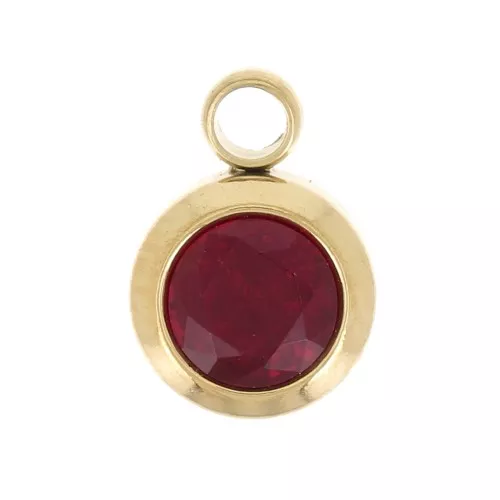 Breloque pierre de naissance oxyde zirconium Janvier 6mm Acier inox 304L Doré Siam