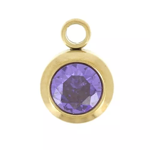 Breloque pierre naissance oxyde zirconium 6mm Février Acier inox304L Doré Amethyst