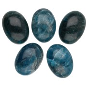 Cabochon ovale 14x10 mm en pierre gemme - Apatite x1