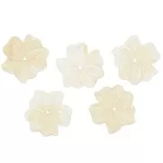 Pendentif Fleur 23 mm en résine opaque - Crème x1