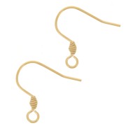 Crochets d'oreilles 17 mm avec anneau ouvert - Acier inoxydable 304 Doré x2|raw }}