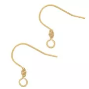 Crochets d'oreilles 17 mm avec anneau ouvert - Acier inoxydable 304 Doré x2