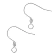 Crochets d'oreilles 17 mm avec anneau ouvert - Acier inoxydable 304 x2
