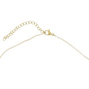 Tour de cou maille Forçat 1.2 mm - Acier inoxydable 316L Doré x47cm