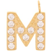 Breloque lettre alphabet 13 mm & oxydes de Zirconium - M - Acier inox 316L Doré x1|raw }}