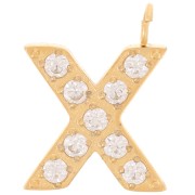 Breloque lettre alphabet 13 mm & oxydes de Zirconium - X - Acier inox 316L Doré x1|raw }}