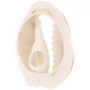 Coquillage Cauri 18 à 20 mm avec résine époxy - Naturel - Dark gold pailleté x1