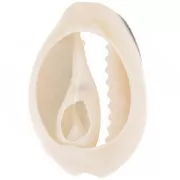 Coquillage Cauri 18 à 20 mm avec résine époxy - Naturel -  Noir pailleté x1