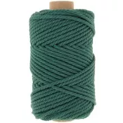 Vert bouteille - Bobine de cordon en coton pour macramé 3 mm - Vert bouteille x50m Bobine de cordon en coton pour macramé 3 mm - Vert bouteille x50m