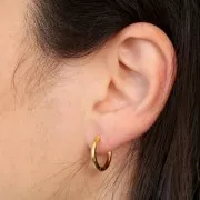 Créoles rondes 16 mm - Fil 2 mm - Doré à l'or fin x2