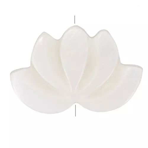 Perle fleur de lotus en nacre 11x17 mm - Naturel x1