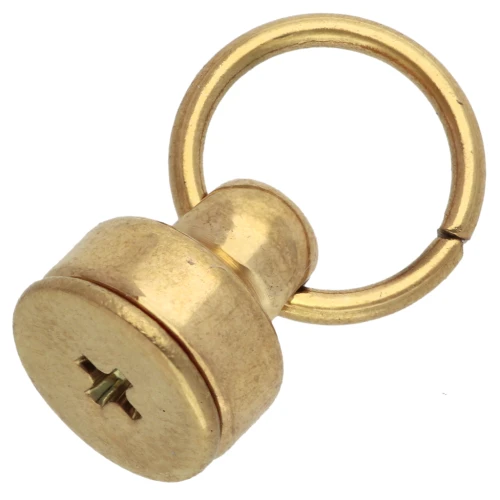 Rivets avec anneau 9x8mm pour coque telephone portable - Acier inox 304L Doré x2