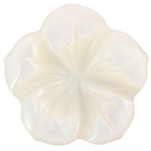 Cabochon fleur 15 mm en nacre - Naturel x1