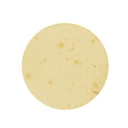 Ebauche ronde - disque 8 mm - épaisseur 0.8 mm - Laiton brut x1