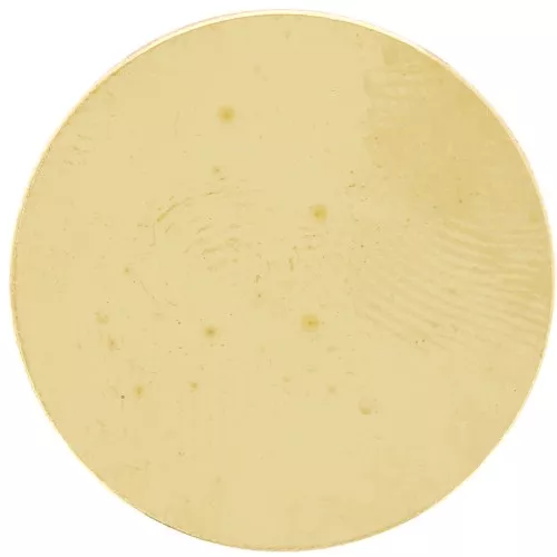 Ebauche ronde - disque 20 mm - épaisseur 0.8 mm - Laiton brut x1