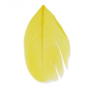 Plumes 6 cm Jaune x3gr|raw }}