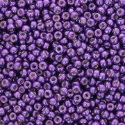Rocaille Miyuki Duracoat 11/0 5108 - Galvanized Purple Orchide x100g